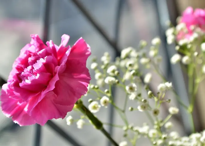 Damson Dene Crosthwaite