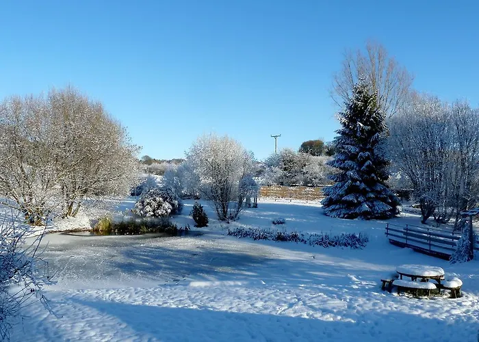 Hotel Damson Dene 4*